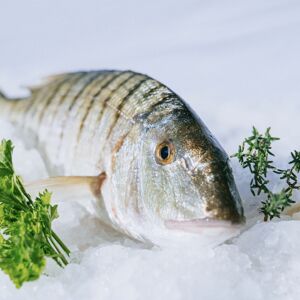 Marbres 500g - En direct de Côte Fish - Mon poisson direct pecheurs (Gard)