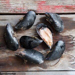 Moules de corde de Camargue - 3 kg - En direct de Camargue Coquillages (Bouches du Rhône)