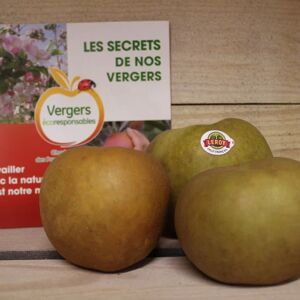 Pommes Reinette Grise Du Canada - Colis 5 Kg - En direct de Le Chataignier (Sarthe)