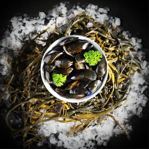 Moules de bouchot - Lot de 5kg - En direct de Luximer (Côtes d'Armor)