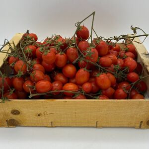 Tomate Cerises - 1 Kg - En direct de Le Panier du Producteur (Alpes-Maritimes)