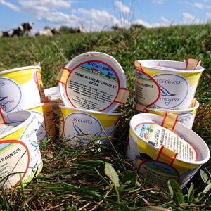 Glace au chocolat en pot 80 ml - En direct de Les Glaces de la Promesse (Moselle)