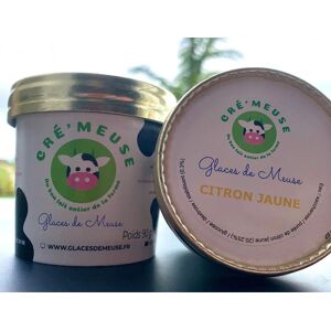 Sorbet Citron Jaune P'tit Pot 90g - En direct de Glaces de Meuse (Meuse)