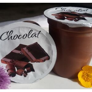 crème dessert au chocolat (lot de 6) - En direct de Ferme Joos (Nord) - Publicité