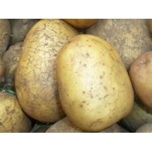 Pomme De Terre Bio Allians - Variete À Chair Ferme 25kg - En direct de Mon Petit Producteur (Loire-Atlantique)