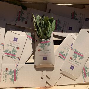 Bouquet De Laurier Seche - En direct de Les Herbes du Roussillon (Pyrenees-Orientales)