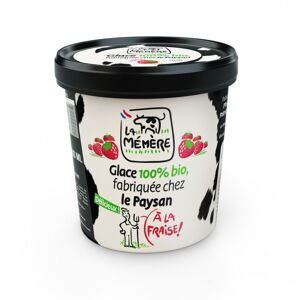 Glace au coulis de fraise 100% bio 500ml - En direct de Les Glaces du Semnon - La Memere (Ille-et-Vilaine)