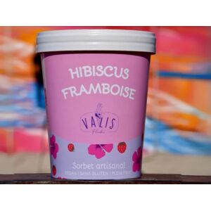 Sorbet plein fruit Framboise Hibiscus 480ml - En direct de Valis Fleurbet (Alpes-Maritimes)