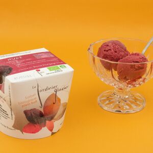 Sorbet Mures - 550ml - En direct de Le Jardinier Glacier (Saône-et-Loire)