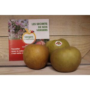 Pommes Reinette Grise du Canada - 1kg - En direct de Le Châtaignier (Sarthe) - Publicité