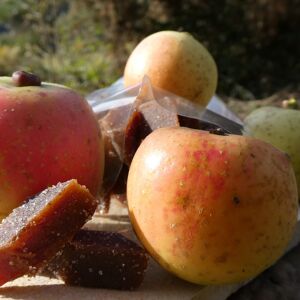 Pates de fruits a la Pomme Bio - En direct de Terres EnVie (Ariege)