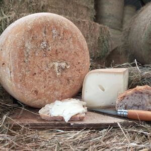 Fromage de Brebis AOP Ossau-Iraty Fermier de Printemps Demi-boule - 2,4kg - 12 mois - En direct de La ferme Lassalle (Pyrenees-Atlantiques)