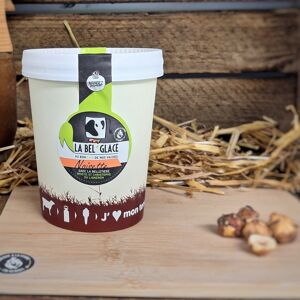 Glace yaourt nature 480ml HVE - En direct de La Bel'glace (Vendee)