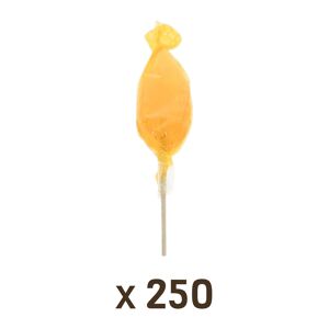 Apiculture.net - Matériel apicole français 250 Sucettes Miel & Orange - Publicité