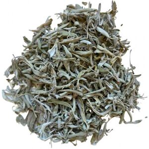 France Herboristerie Tisane Sauge officinale feuille extra 100 GRS Salvia officinalis