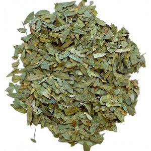 France Herboristerie Tisane Sene feuille 1 KILO Cassia angustifolia