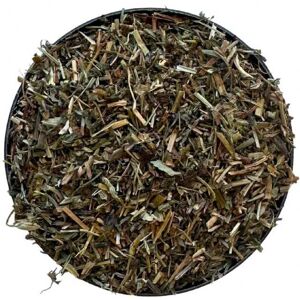 France Herboristerie Tisane Veronique plante CT 100 g Veronica officinalis