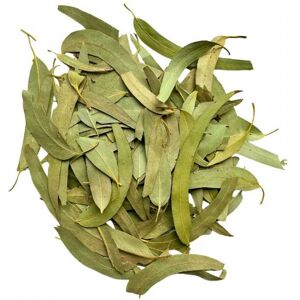 France Herboristerie Tisane Eucalyptus feuille 100 GRS ENTIERE extra Eucalyptus globulus