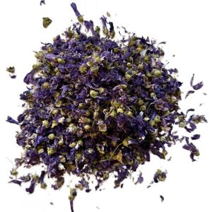 France Herboristerie Tisane Mauve du Nord fleur 250 GRS ENTIERE SUPER CHOIX Malva sylvestris