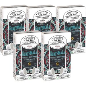 Caffè Corsini - Pack 50 capsules Huehuetenango Guatemala 5x10 - Nespresso compatible - CAFFE CORSINI - Guatemala - Publicité