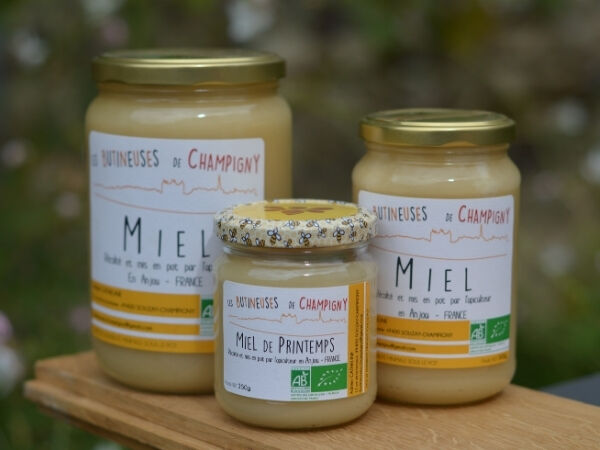 Miel de Printemps Bio - 250 g - En direct de Les Butineuses de Champigny (Maine-et-Loire)