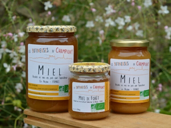 Miel de Forêt Bio - 250 g - En direct de Les Butineuses de Champigny (Maine-et-Loire)