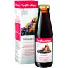 Dr.steinberger plus eisenblut szirup 450 ml