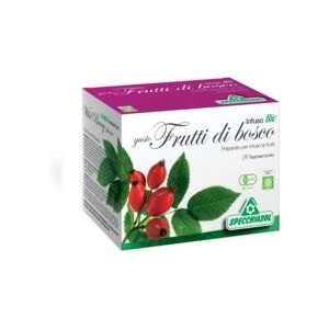 Specchiasol Infusio Bio Gusto Frutti Di Bosco, 20 filtri