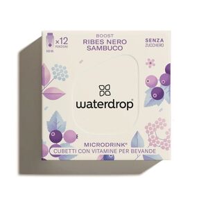 Waterdrop Microdrink - Boost Bevanda gusto Ribes Nero e Sambuco, 12 cubetti