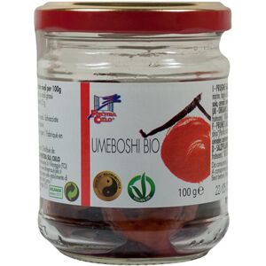 BIO + Umeboshi 100 G Bio