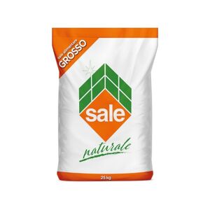 Italkali SALE ALIMENTARE GROSSO NATURALE IN GRANULI IN SACCO DA 25 KG. 09004E