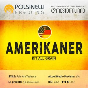 Polsinelli Kit all grain Amerikaner per 55 L - Pale Ale tedesca