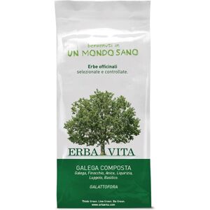 Erba Vita Galega Composta Tisane 100g