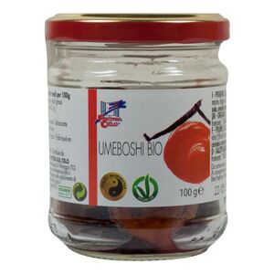 Biotobio Srl Umeboshi 100g Bio