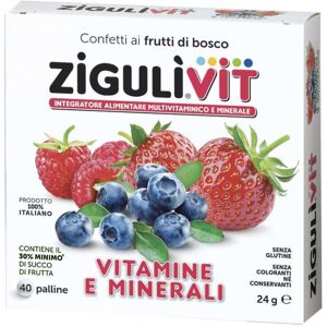 Falqui Prodotti Farmac. Srl Ziguli-Vit Frutti Bosco 24g