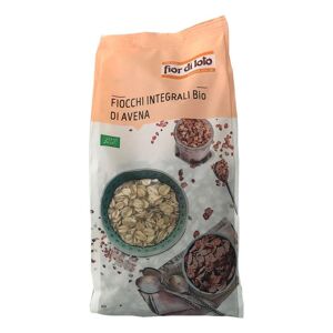 Biotobio Srl Fiocchi Avena Bio 500g