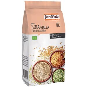 Biotobio Srl Fdl Soja Gialla Bio 400g