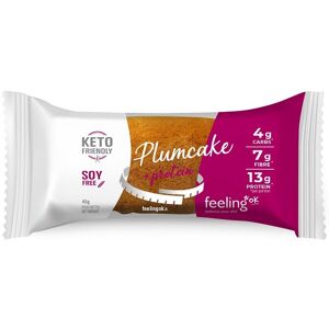 Feeling Ok Plumcake Gusto Arancia 45g