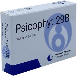 BIOGROUP SpA SOCIETA' BENEFIT Biogroup Psicophyt Remedy 29b 4 Tubi 1,2 G