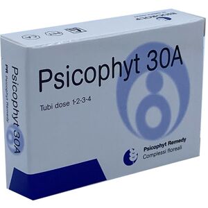 BIOGROUP SpA SOCIETA' BENEFIT Biogroup Psicophyt Remedy 30a 4 Tubi 1,2 G