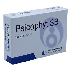 BIOGROUP SpA SOCIETA' BENEFIT Biogroup Psicophyt Remedy 3b 4 Tubi 1,2 G