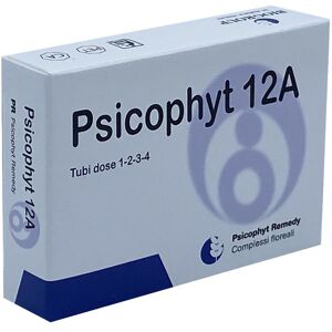 BIOGROUP Srl Biogroup Psicophyt Remedy 12a 4 Tubi 1,2 G