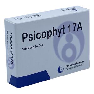 BIOGROUP SpA SOCIETA' BENEFIT Biogroup Psicophyt Remedy 17a 4 Tubi 1,2 G