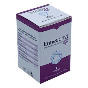 BIOGROUP SpA SOCIETA' BENEFIT Biogroup Enneaphyt 4 40cpr Orosol 300mg