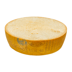 Parmigiano Reggiano 30 Mesi Mezza Forma   20kg Min   Caseificio Dismano