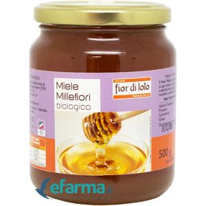 Fior Di Loto Miele Millefiori Biologico 500 g