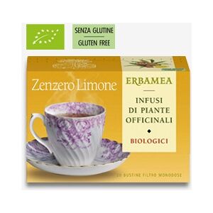 Erbamea ZENZERO E LIMONE 20 bustine filtro da agricoltura Biologica