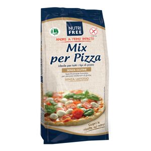 nutrifree mix per pizza 1000 g