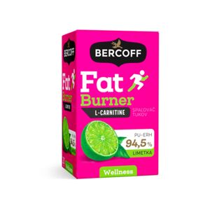 Bercoff Klember Tè Fat Burner, L-carnitina, 15 x 2 g