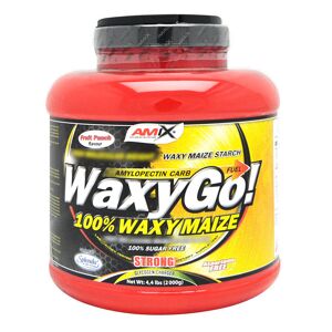 AMIX Waxy Go! 2000 Grammi Naturale